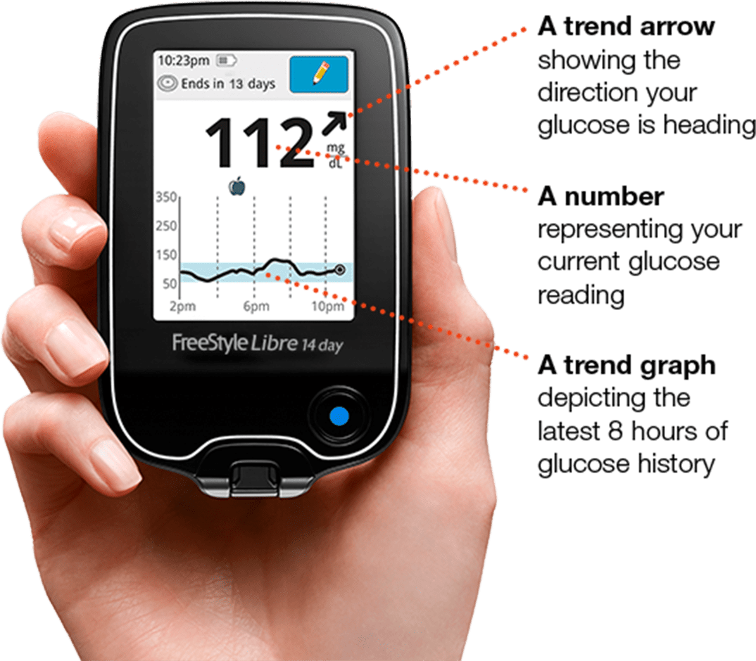 FreeStyle Libre 14 day system | Michigan USA